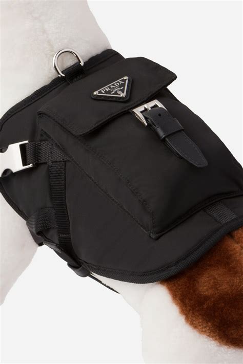 prada the dog|prada dog backpack.